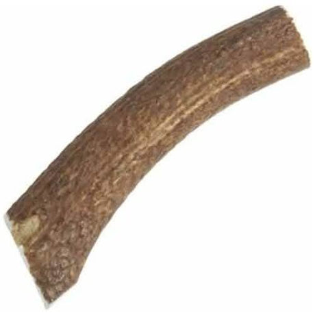 Happy Dog Of Cape Cod Elk Antler Sliced Special