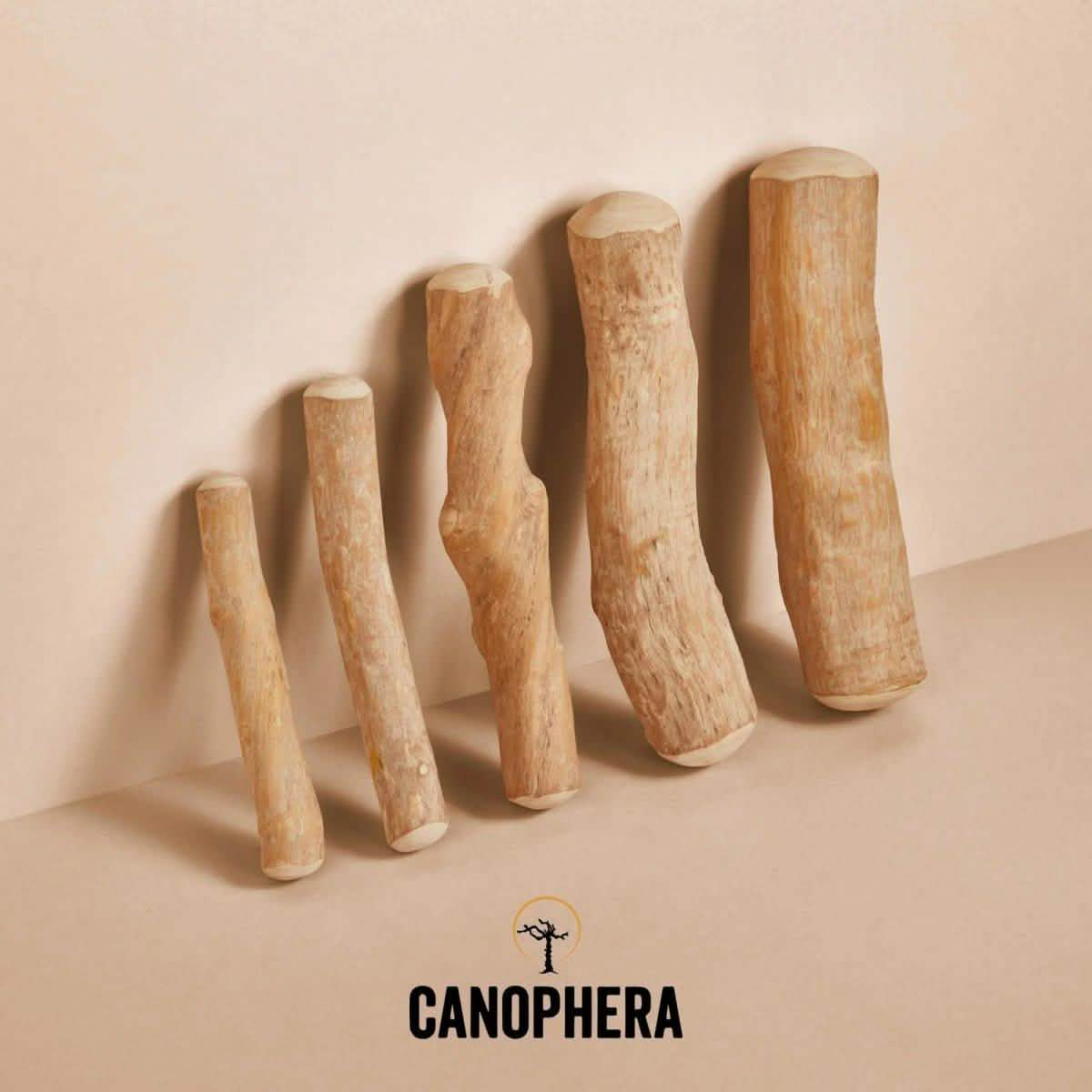 Canophera Coffee Wood Chew Stick for Dogs