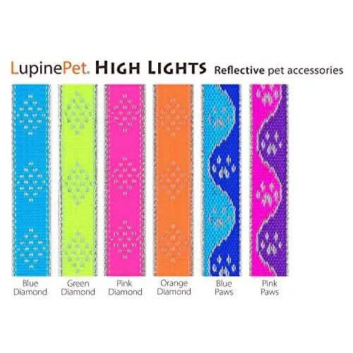 Lupine Adjustable Dog Collar, 1 Inch Width, 12-20 Inch Size, Blue Paws Design