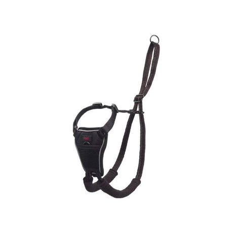 The Company of Animals Dog Halti No Pull Harness M - Medium Size