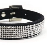 Dogo Pet VIP Bling Dog Collar in Black, Small Size