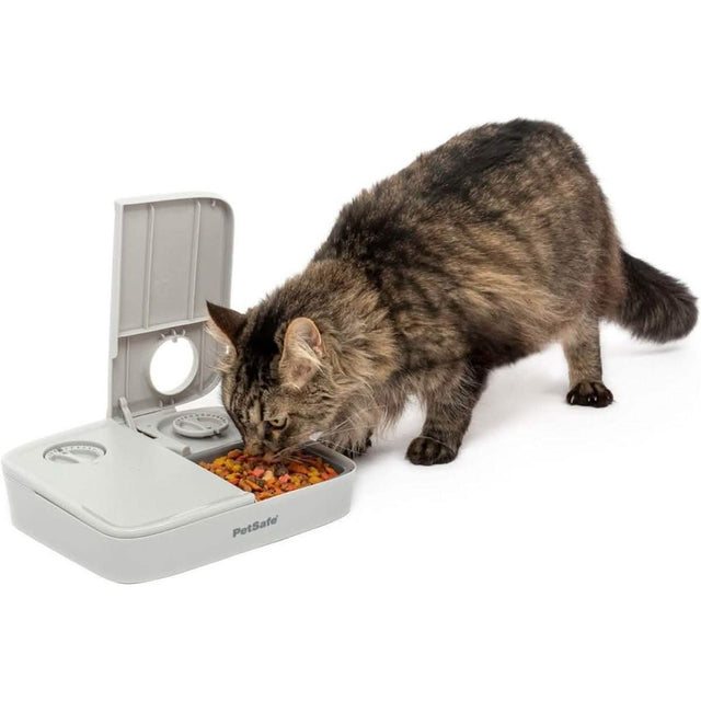 PetSafe Automatic 2 Meal Pet Feeder