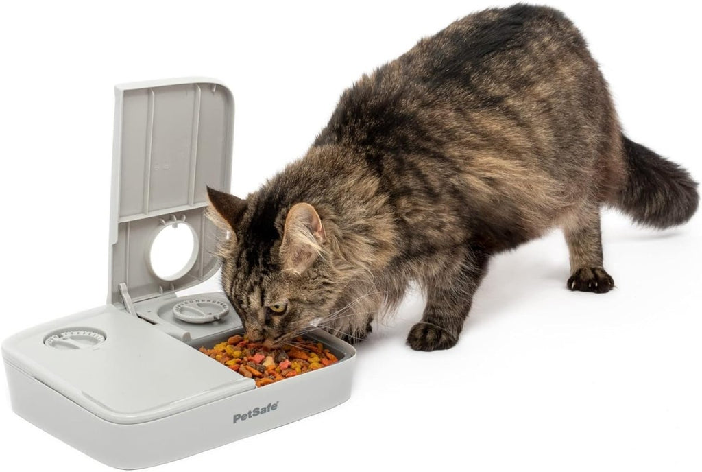 PetSafe Automatic 2 Meal Pet Feeder