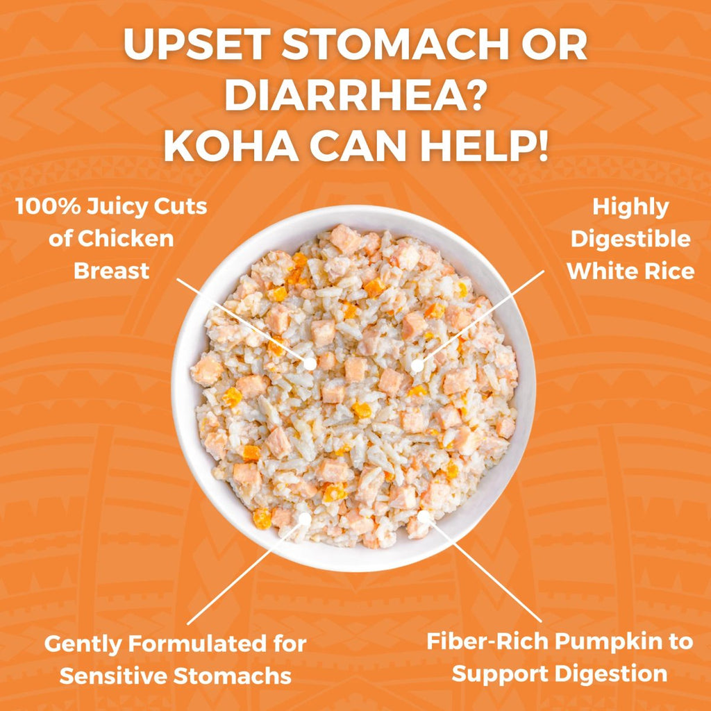 Koha Cooked Shelf Stable Dog Food Limited Ingredient Bland Diet Chicken & White Rice with Pumpkin