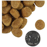 Fromm Dog Treat Tenderollies Chick-A-Rollie Flavor