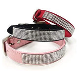 Dogo Pet VIP Bling Dog Collar in Black, Small Size