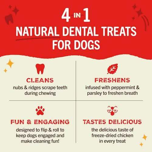 Stella & Chewy's D Dental Delights Chicken INDIV S