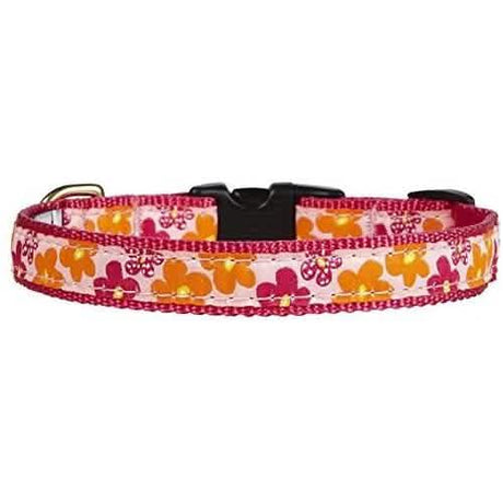 Up Country Dog Collar Mod Flower XS - Premium Dog Accessory from Up Country