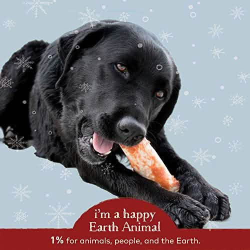 Earth Animal Large NOHIDE The Feast 11 - All Flavor Dog Chew