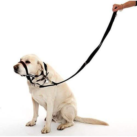 Halti Small Red Dog Training Harness Leash