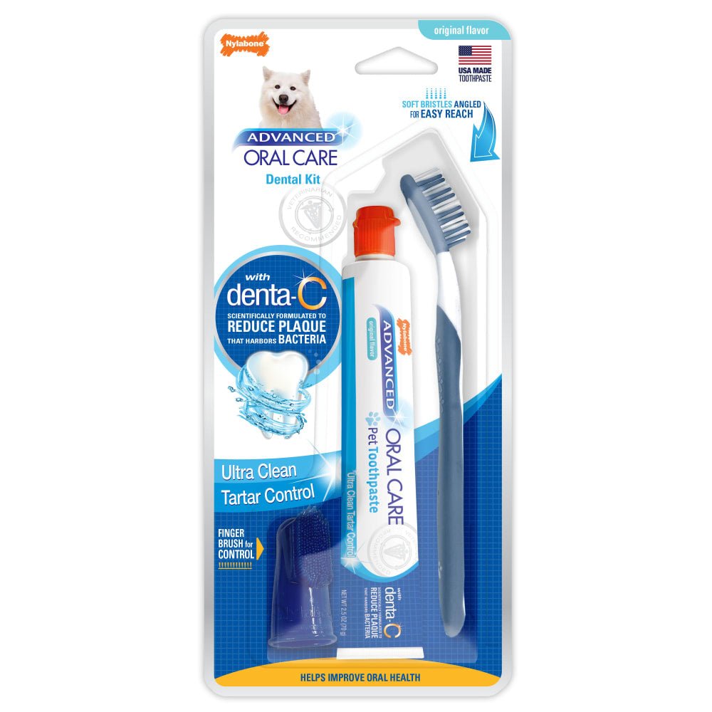 Nylabone Advanced Oral Care Dental Kit Original Flavor