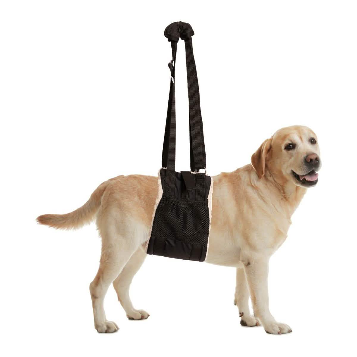 ZenPet BuddyLift Canine Support & Rehabilitation Sling