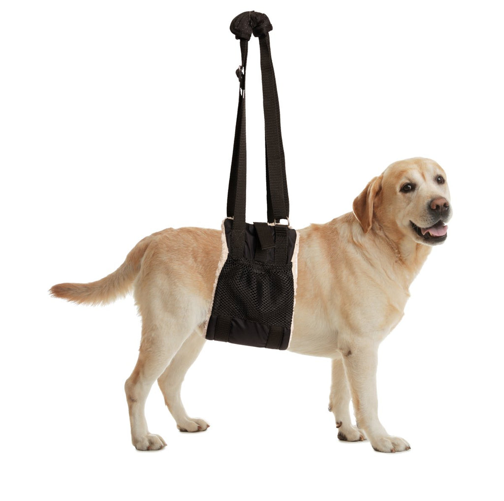 ZenPet BuddyLift Canine Support & Rehabilitation Sling