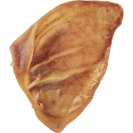 Best Pet Pig Ear