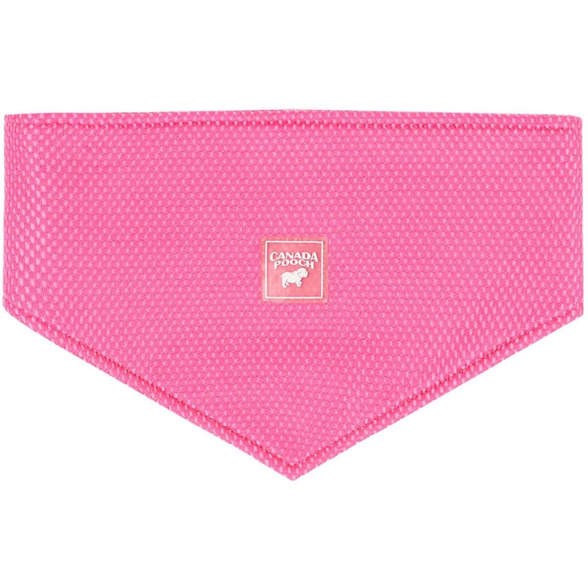 Canada Pooch Small Size Neon Pink Cooling Bandana for Dogs