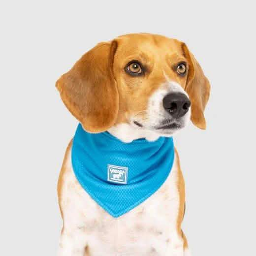 Canada Pooch Cooling Bandana - Blue