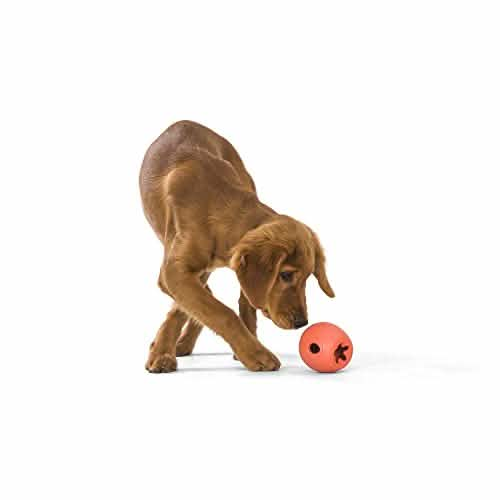 West Paw Rumbl Orange Large - Premium Dog Toy