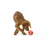 West Paw Rumbl Orange Large - Premium Dog Toy