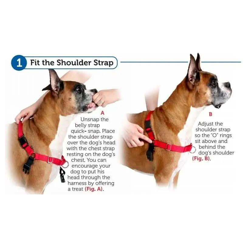 PetSafe Easy Walk Harness