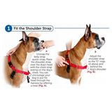 PetSafe Easy Walk Harness