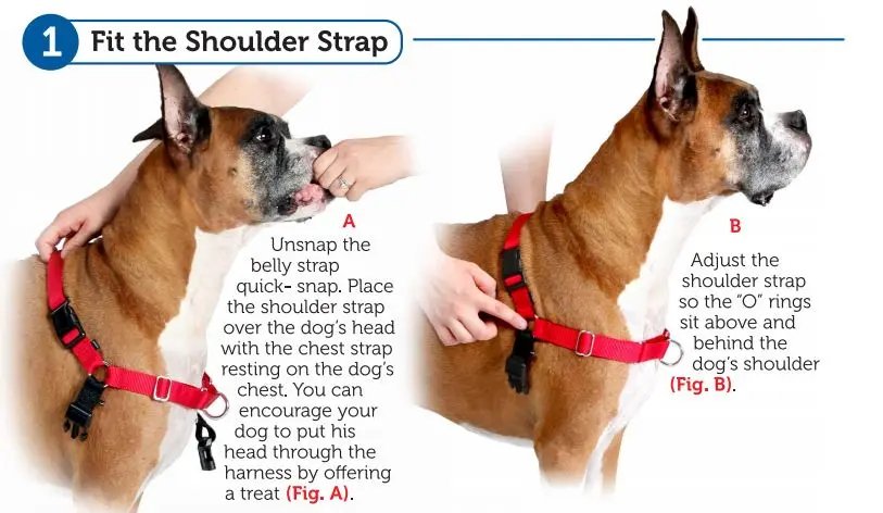 PetSafe Easy Walk Harness