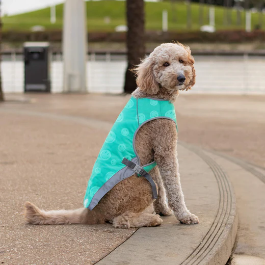 Canada Pooch Chill Seeker Cooling Vest - Green with Smiley Wet Reveal