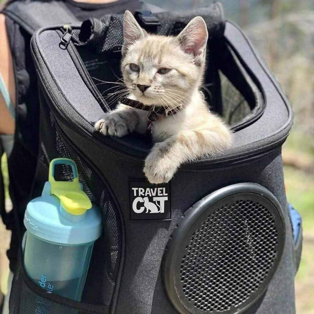 Travel Cat The Fat Cat Backpack - Aqua