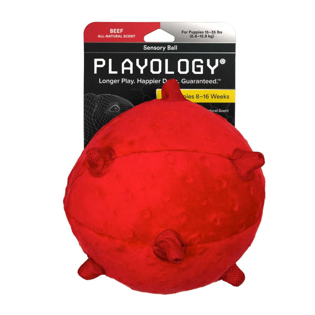 Playology Dog Toy Sensory Ball for Puppies - Beef Scent