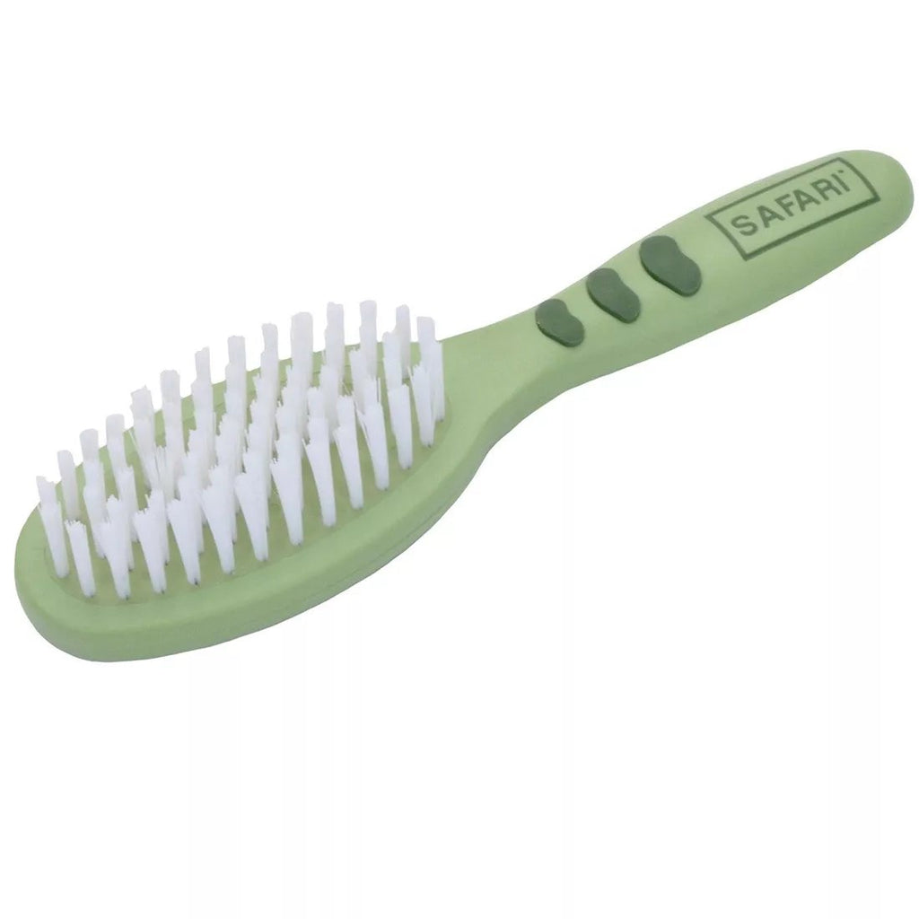 Safari by Coastal Bristle Brush for Cats