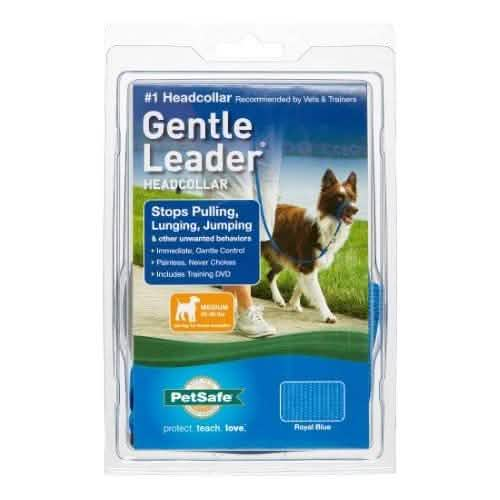 Premier Petsafe Gentle Leader Quick-Snap Buckle for Medium Sized Dogs, Royal Blue, Suitable for 25-60Lb Weight