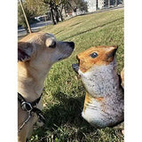 Meowijuana Doggijuana Get Outside Squirrel Large - 4oz Size for Dogs