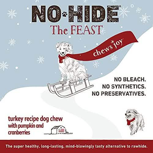 Earth Animal No-Hide Feast Dog Chew Treat for Large Dogs, 11-Inch, 2-Pack