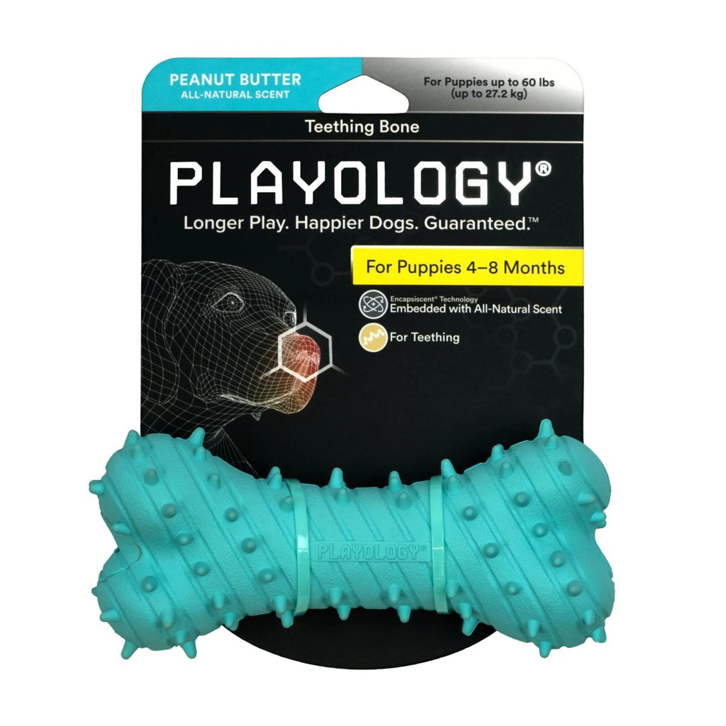 Playology Dog Toy Teething Bone for Puppies - Peanut Butter Scent