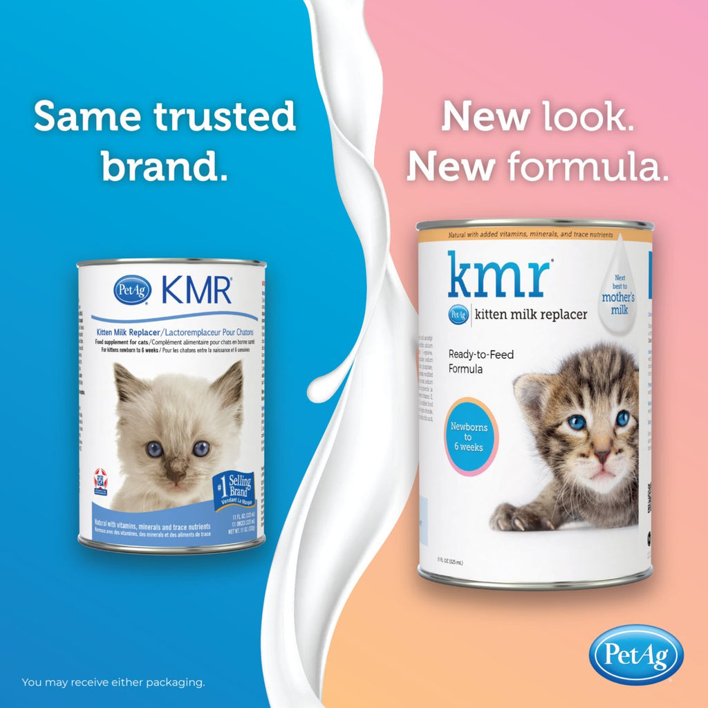 PetAg KMR Kitten Milk Replacer Formula Liquid