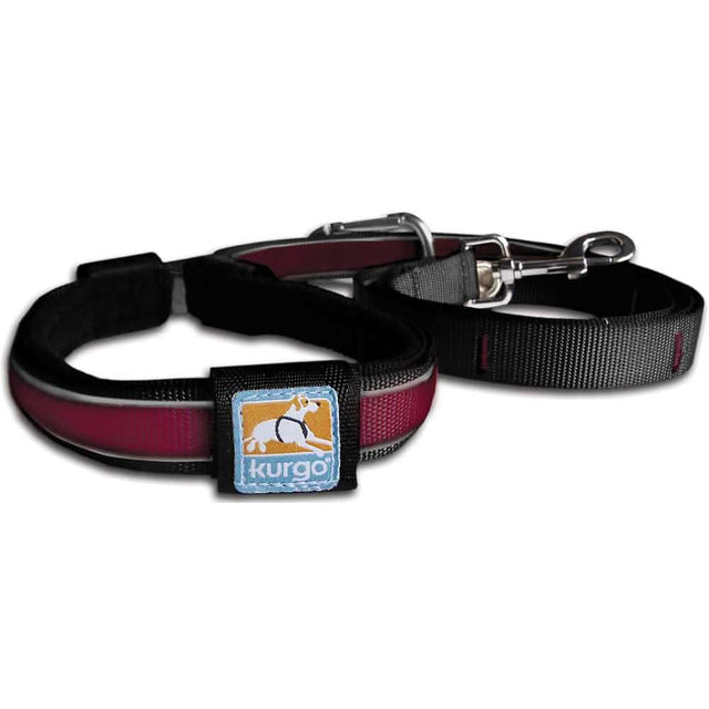 Kurgo Dog Quantum Reflective Leash Raspberry