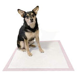 Puppy PADS BAG 100ct 23x22”