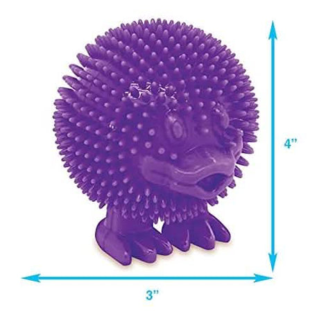 Best Pet Duck Squeaker Purple