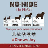 Earth Animal No-Hide Feast Dog Chew Treat for Large Dogs, 11-Inch, 2-Pack