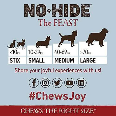 Earth Animal No-Hide Feast Dog Chew Treat for Large Dogs, 11-Inch, 2-Pack