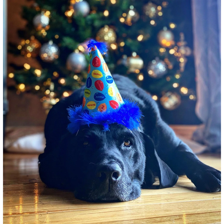 Huxley & Kent Happy Birthday Party Hat with SnugFit® - Blue