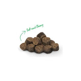 Open Farm Dog Treat Be Good Bites Grass-Fed Recipe