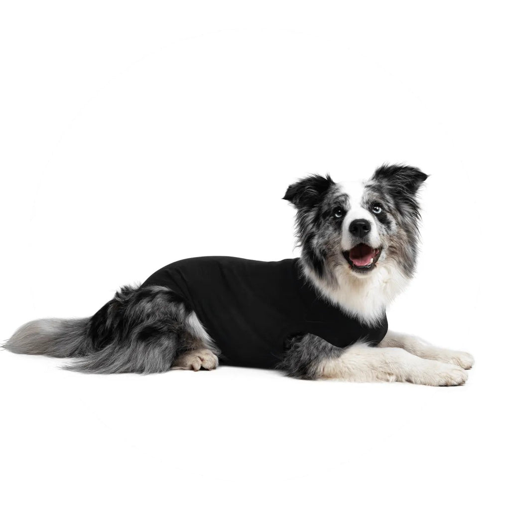 Suitical Recovery Suit for Dogs - Black