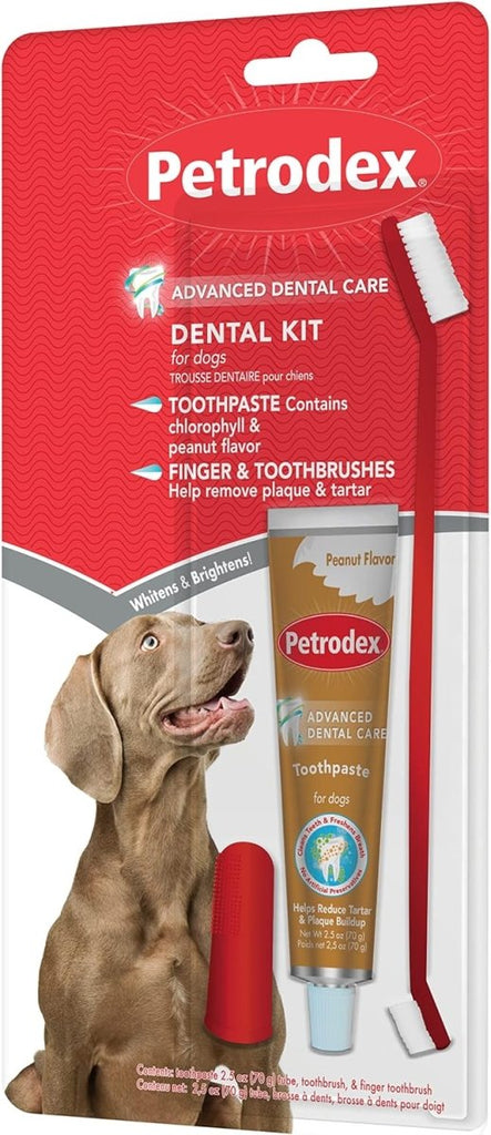 Petrodex Dental Kit for Dogs Peanut Flavor