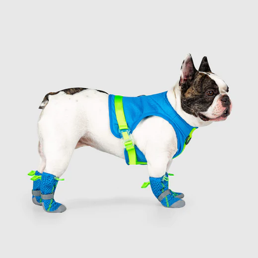 Canada Pooch Hot Pavement Boots for Dogs