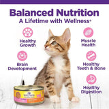 Wellness Wet Cat Food Complete Health Paté Kitten Chicken Entrée