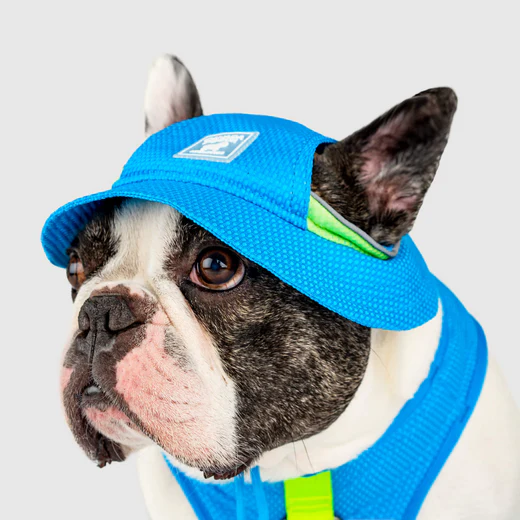 Canada Pooch Chill Seeker Cooling Hat - Blue & Green