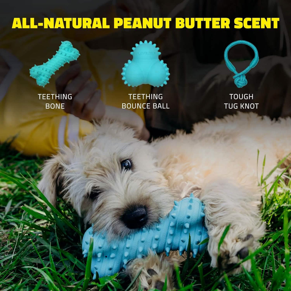 Playology Dog Toy Teething Bone for Puppies - Peanut Butter Scent