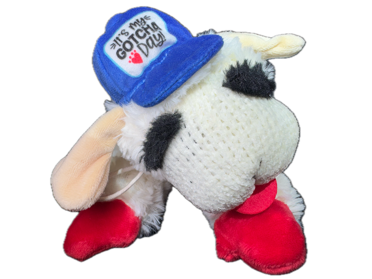 Multipet Lamb Chop It's My Gotcha Day Hat 10.5"