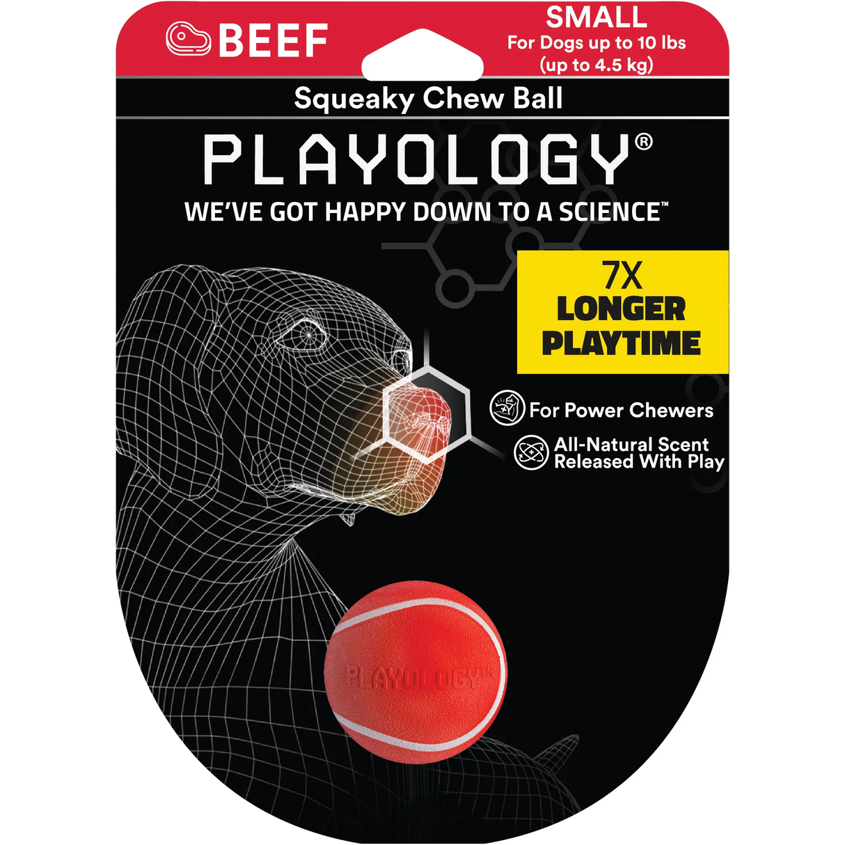 Playology Dog Toy Squeaky Chew Ball - Beef Scent