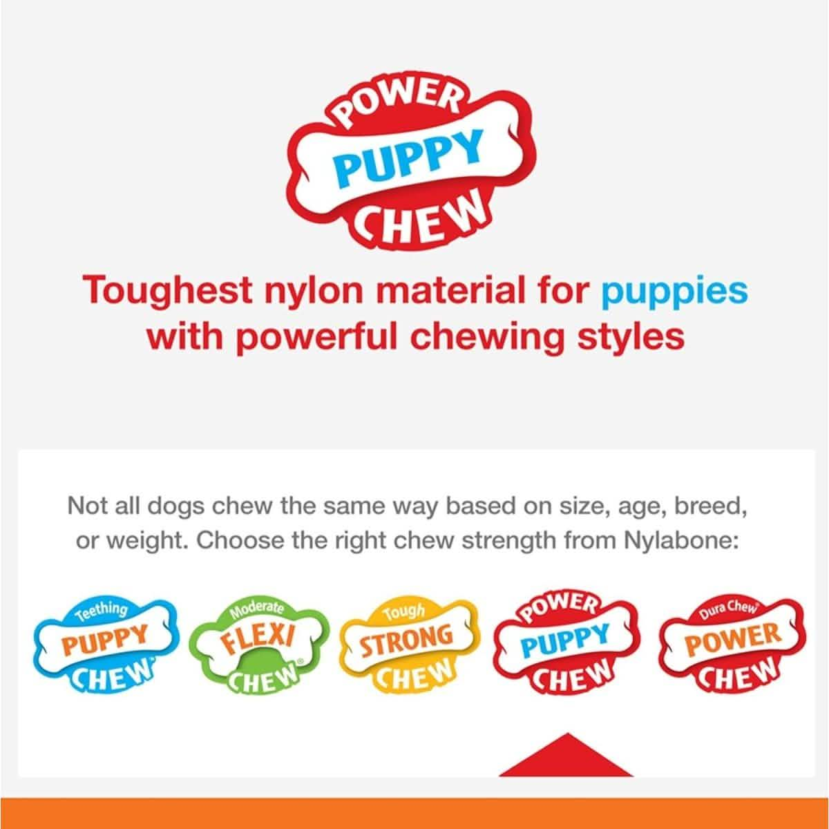 Nylabone Dog Toy Power Rings with Bacon Flavor for Teething Puppies